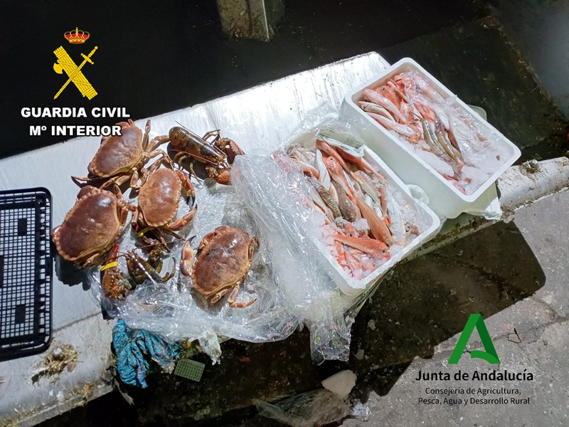 La Guardia Civil interviene pescado y marisco no apto para consumo