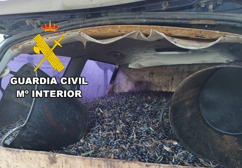 La Guardia Civil investiga a trece personas por robo de aceituna en la provincia de Jaén