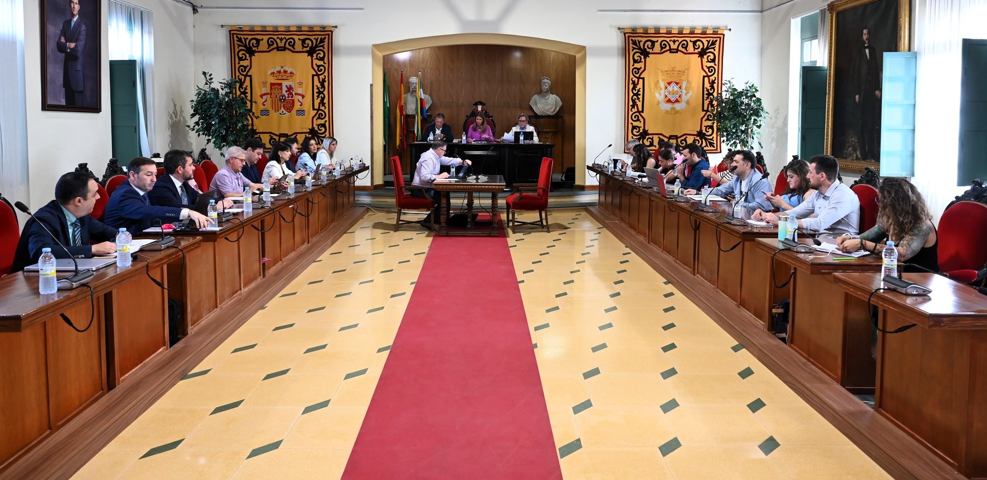 Imagen de El PSOE impulsa en Linares mociones por la salud pública y los derechos humanos