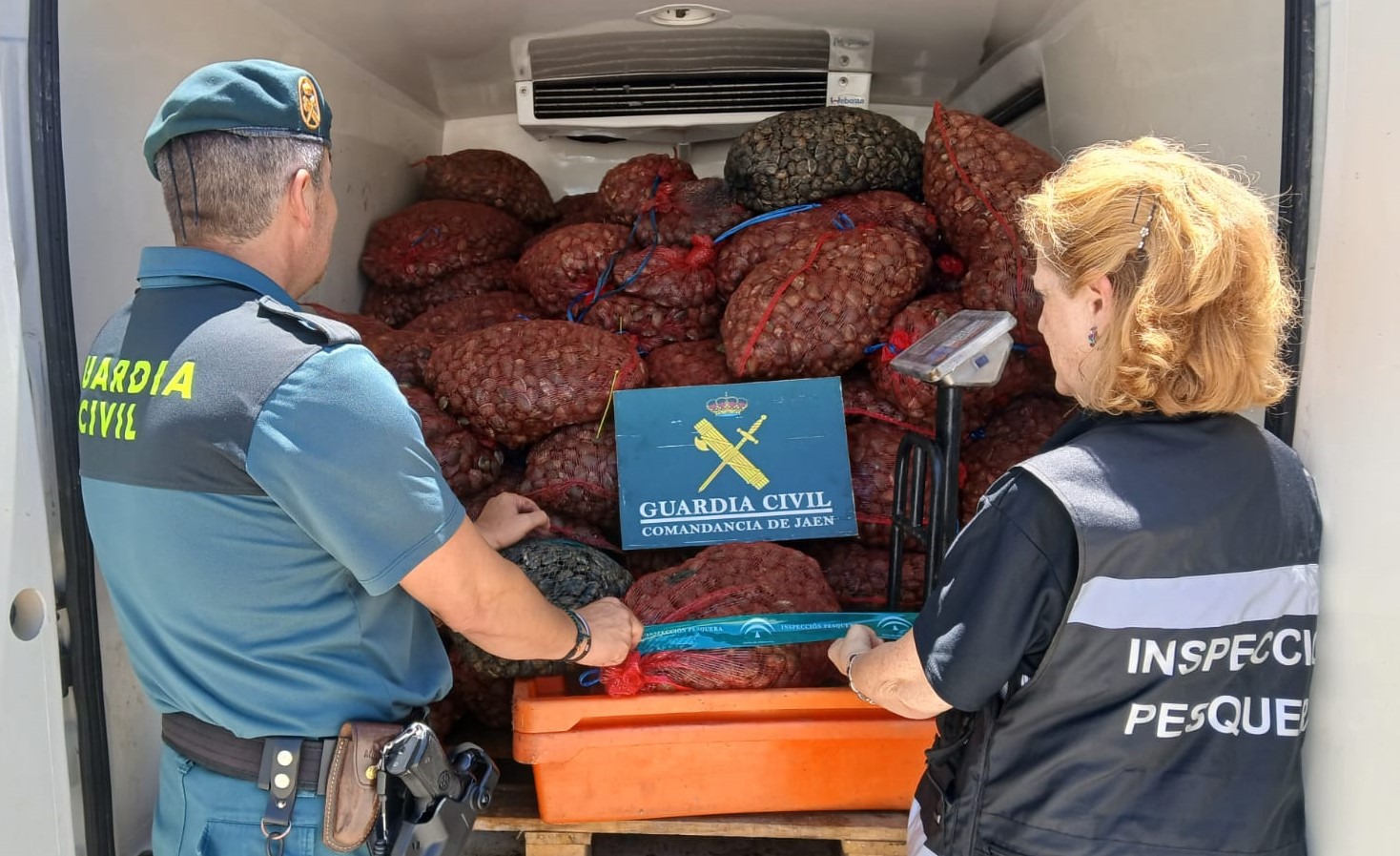 Imagen de Intervención en Marmolejo: La Guardia Civil decomisa 1.500 kilos de almejas sin trazabilidad sanitaria