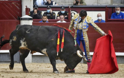 Imagen de Curro Diaz Premio al Triunfador de la Temporada en la provincia de Jaén