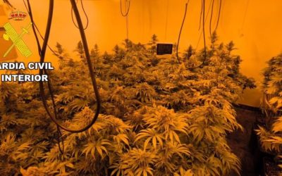 Imagen de Dos detenidos al desmantelar una plantación de marihuana de alto rendimiento en una vivienda de Ribera Alta