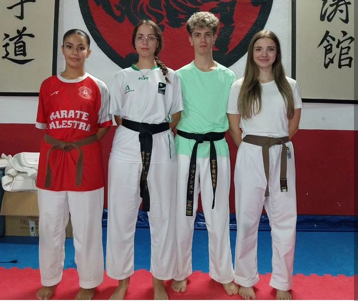 Imagen de El CD Palestra Linares en la Liga Nacional de Karate