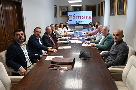 Imagen de Caro-Accino explica al Pleno de la Cámara de Comercio las próximas acciones y proyectos previstos para impulsar el Parque Empresarial Santana