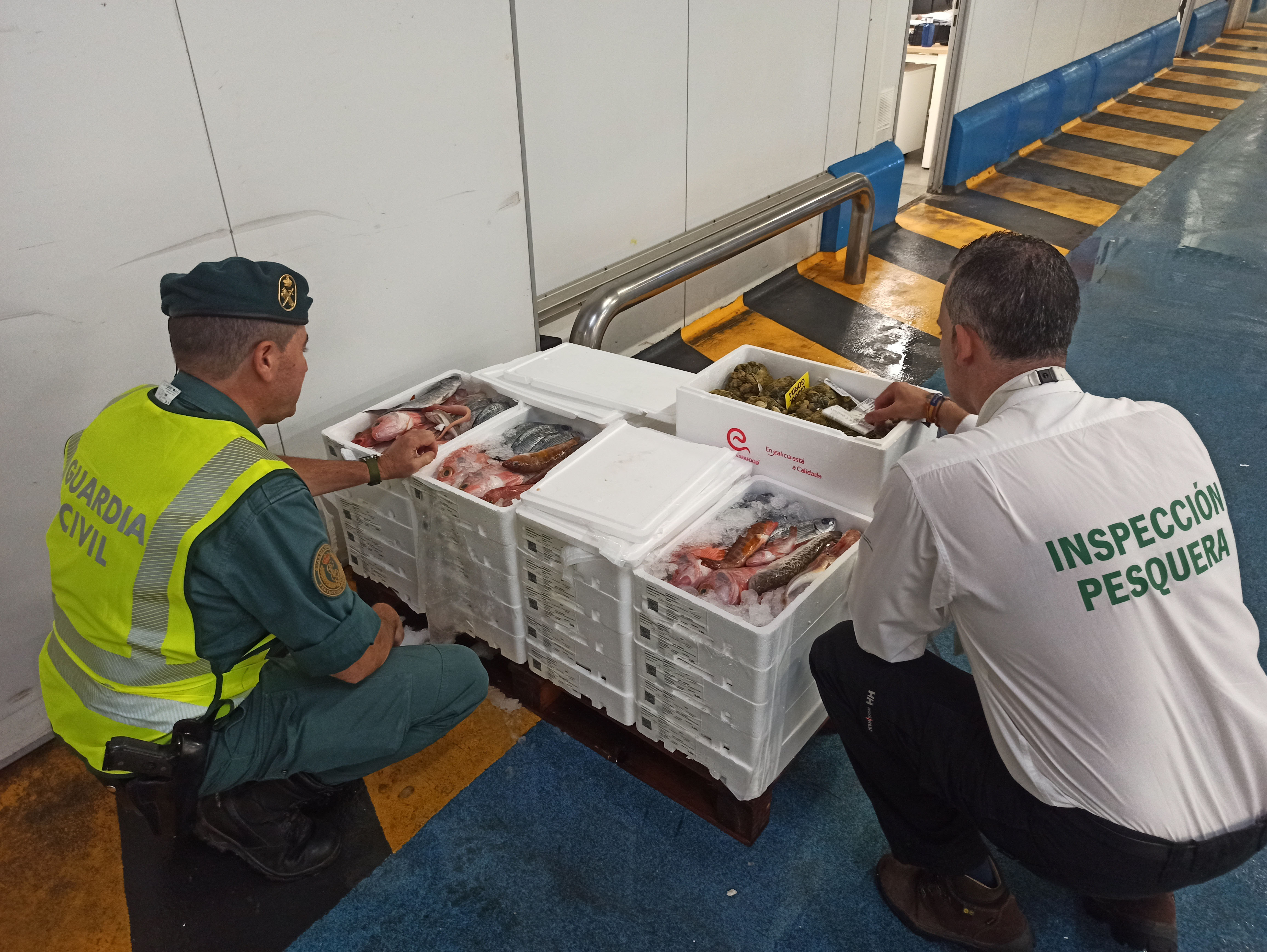 Imagen de La Guardia Civil, ha intervenido 110 kilogramos de pescado y molusco, no apto para el consumo